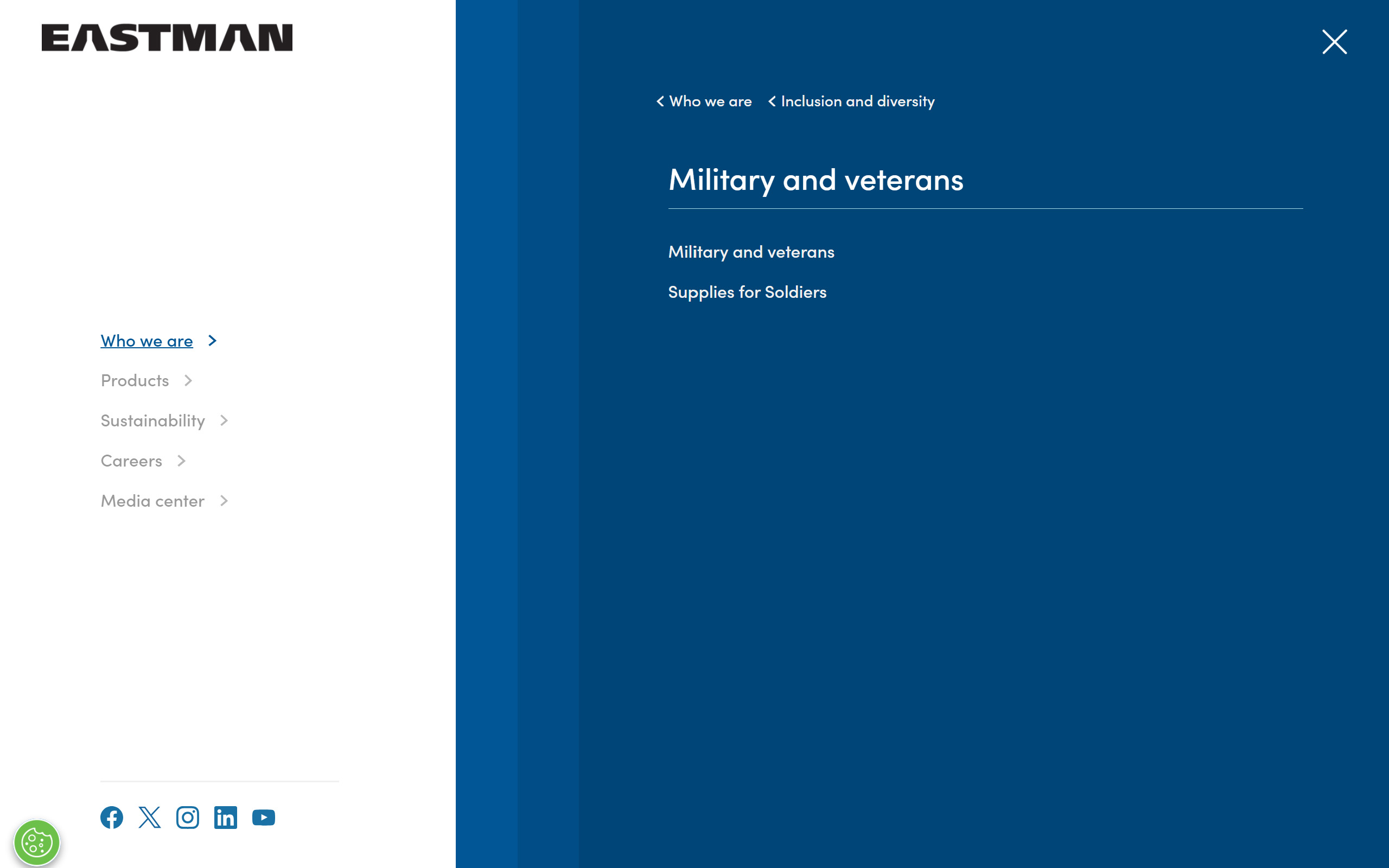 Mega-menu / global navigation — "Who we are → Inclusion and diversity → Military and veterans"